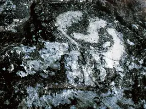 紫雲石のグループマーク画像